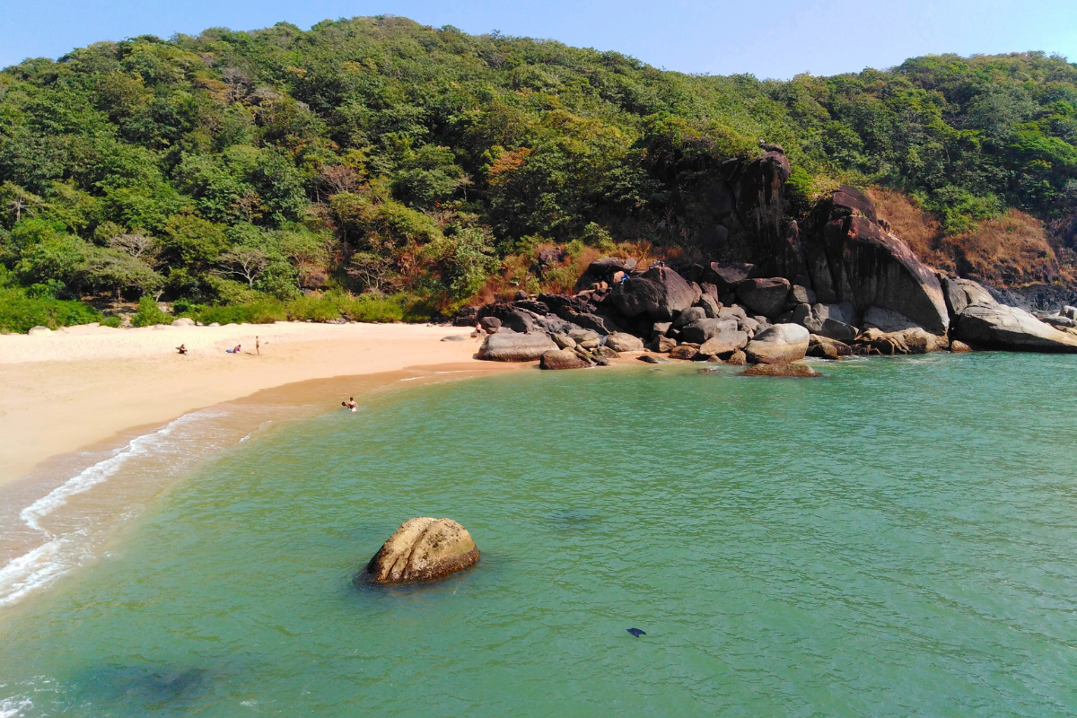 Darjeeling–Kalimpong Harmony Tour