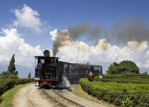 Romantic Darjeeling Honeymoon Trip
